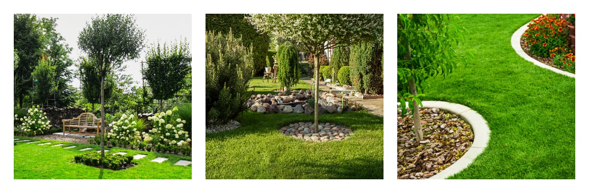 Trawnik reprezentacyjny, tło dla roślin w ogrodzie-min.jpg